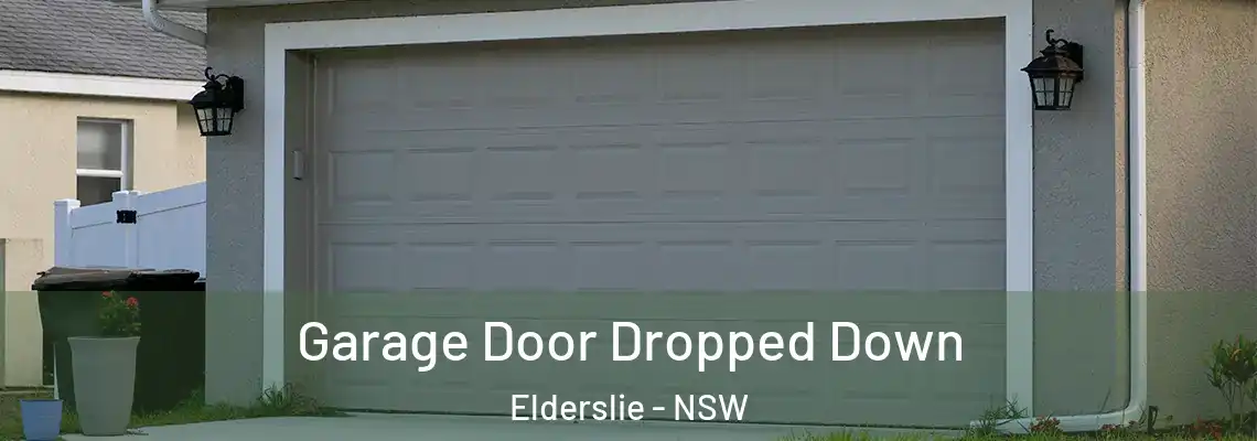  Garage Door Dropped Down Elderslie - NSW