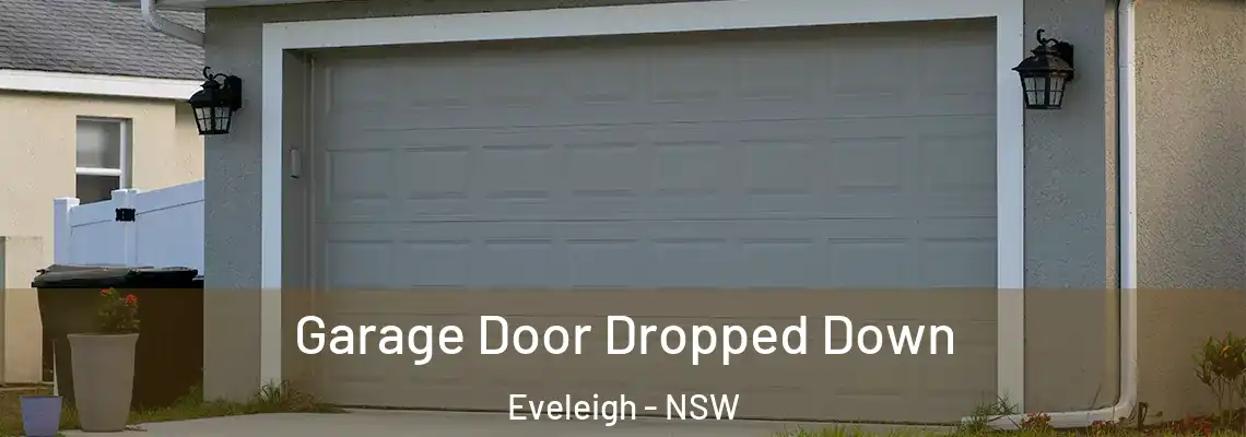  Garage Door Dropped Down Eveleigh - NSW