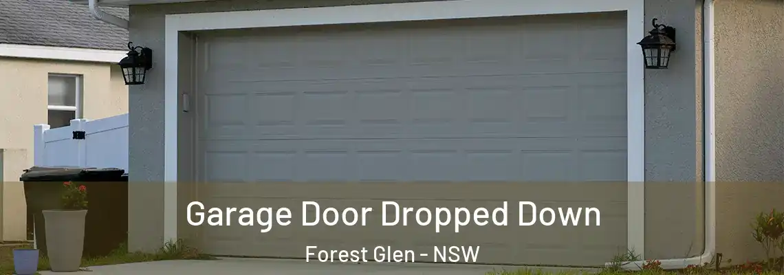  Garage Door Dropped Down Forest Glen - NSW