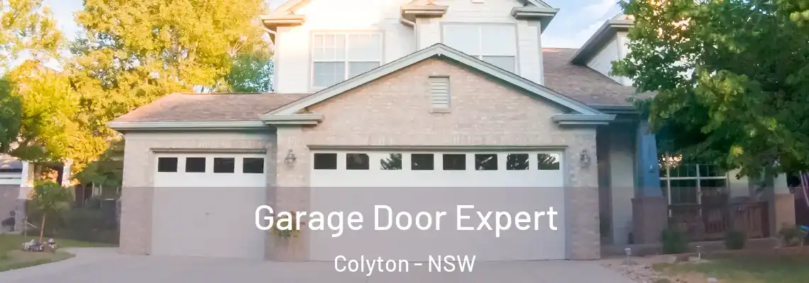 Garage Door Expert Colyton - NSW