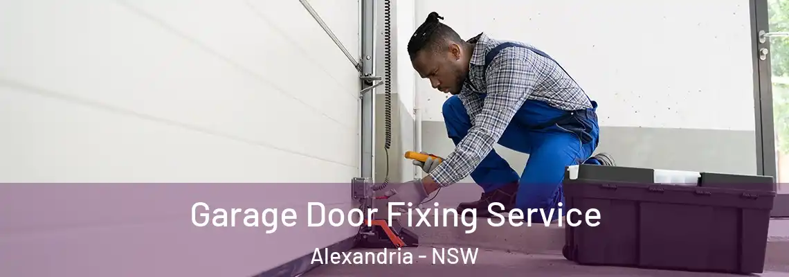  Garage Door Fixing Service Alexandria - NSW