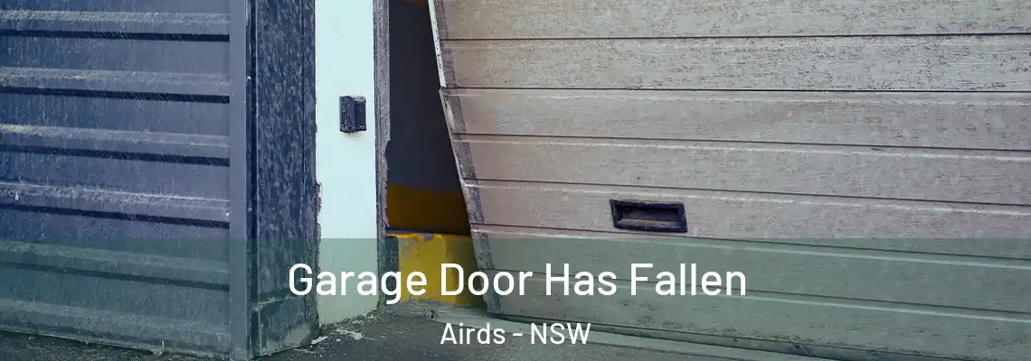  Garage Door Has Fallen Airds - NSW