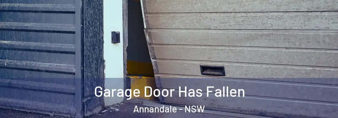  Garage Door Has Fallen Annandale - NSW
