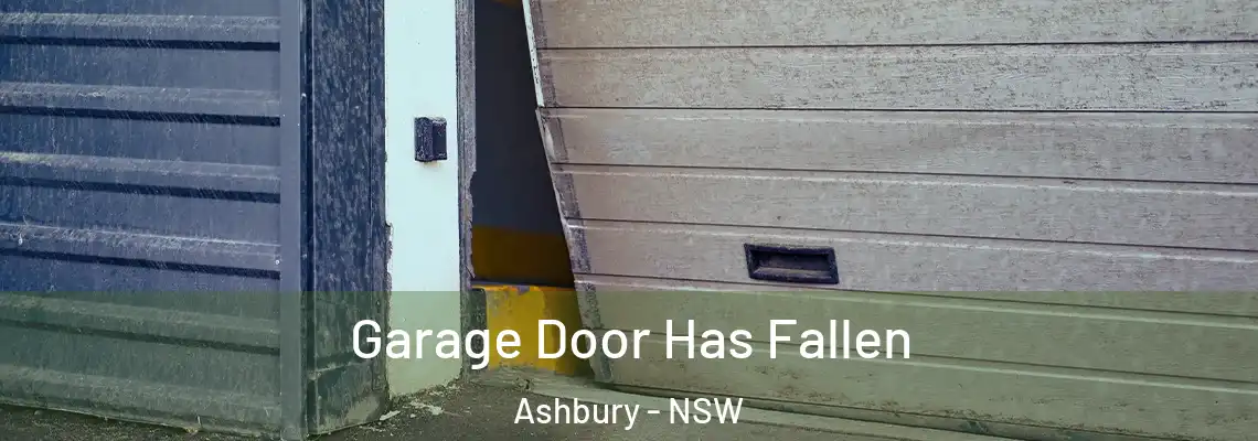  Garage Door Has Fallen Ashbury - NSW