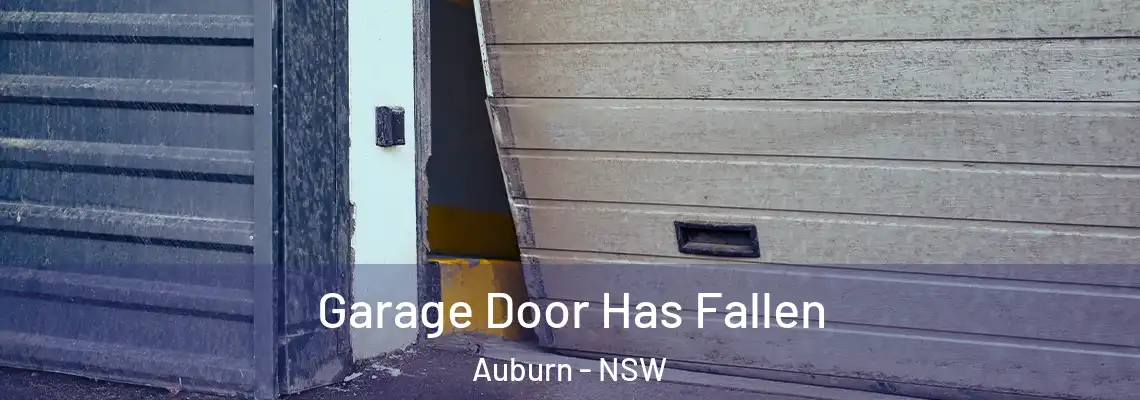 Garage Door Has Fallen Auburn - NSW