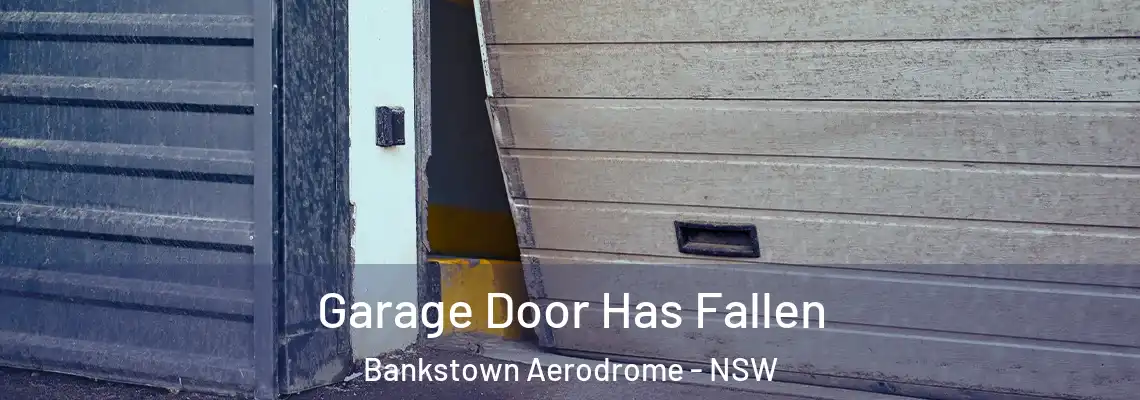  Garage Door Has Fallen Bankstown Aerodrome - NSW