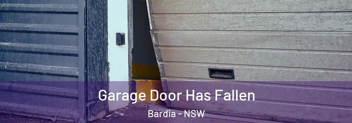  Garage Door Has Fallen Bardia - NSW