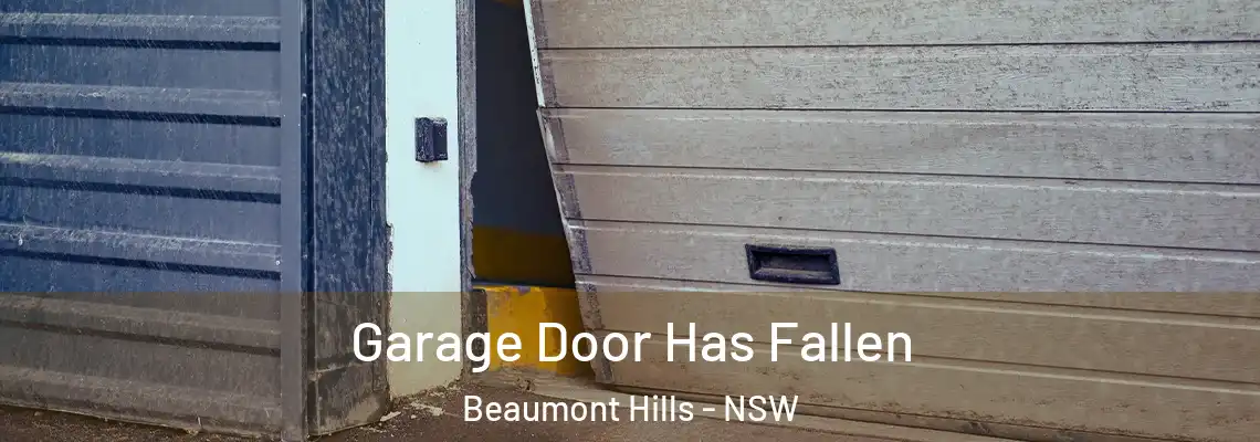  Garage Door Has Fallen Beaumont Hills - NSW
