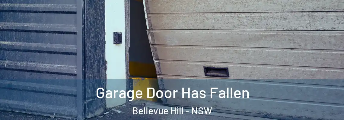  Garage Door Has Fallen Bellevue Hill - NSW
