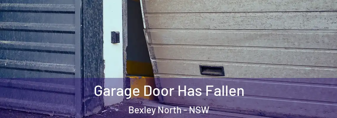  Garage Door Has Fallen Bexley North - NSW