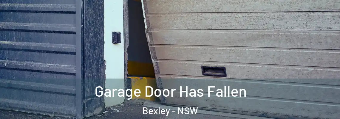  Garage Door Has Fallen Bexley - NSW