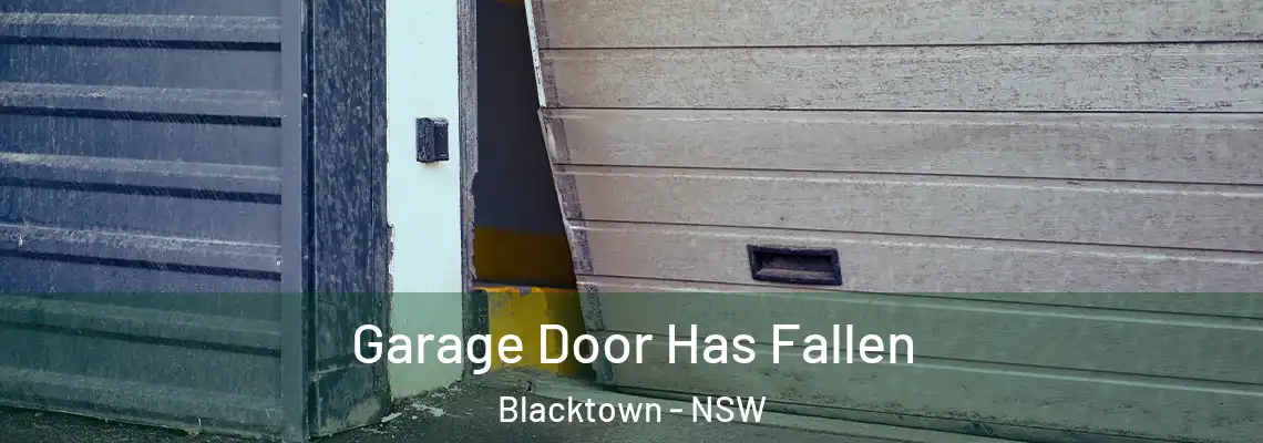  Garage Door Has Fallen Blacktown - NSW