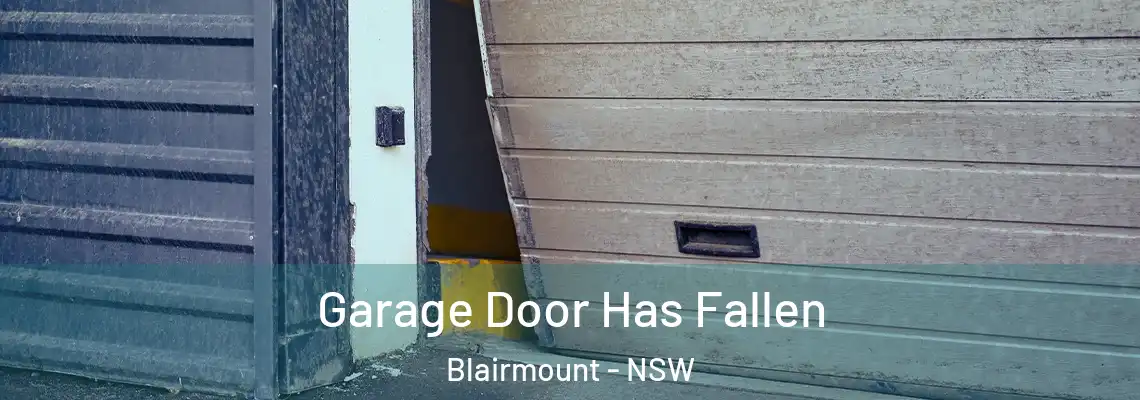  Garage Door Has Fallen Blairmount - NSW