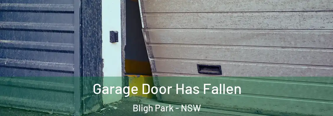  Garage Door Has Fallen Bligh Park - NSW