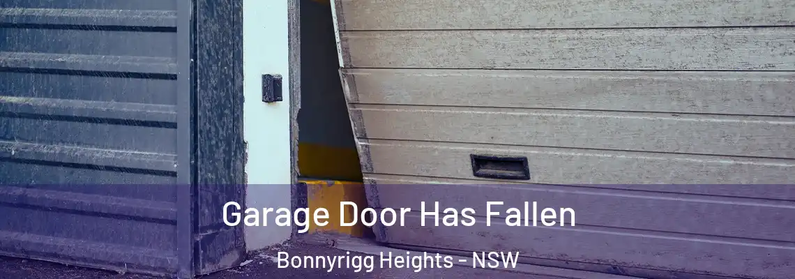  Garage Door Has Fallen Bonnyrigg Heights - NSW