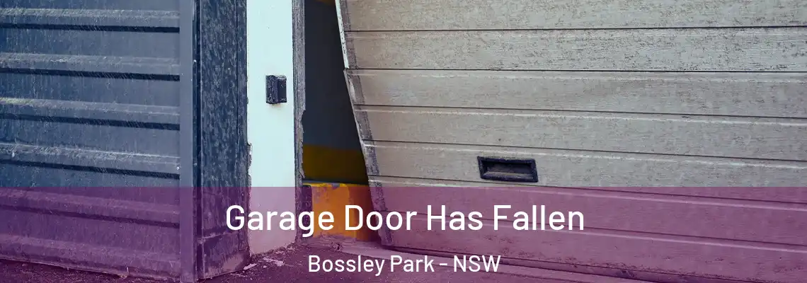  Garage Door Has Fallen Bossley Park - NSW