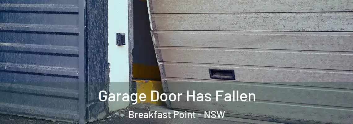  Garage Door Has Fallen Breakfast Point - NSW