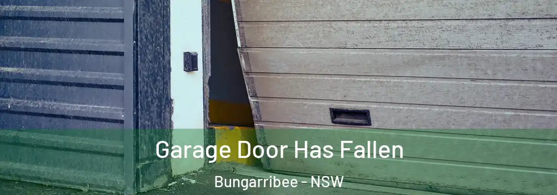  Garage Door Has Fallen Bungarribee - NSW