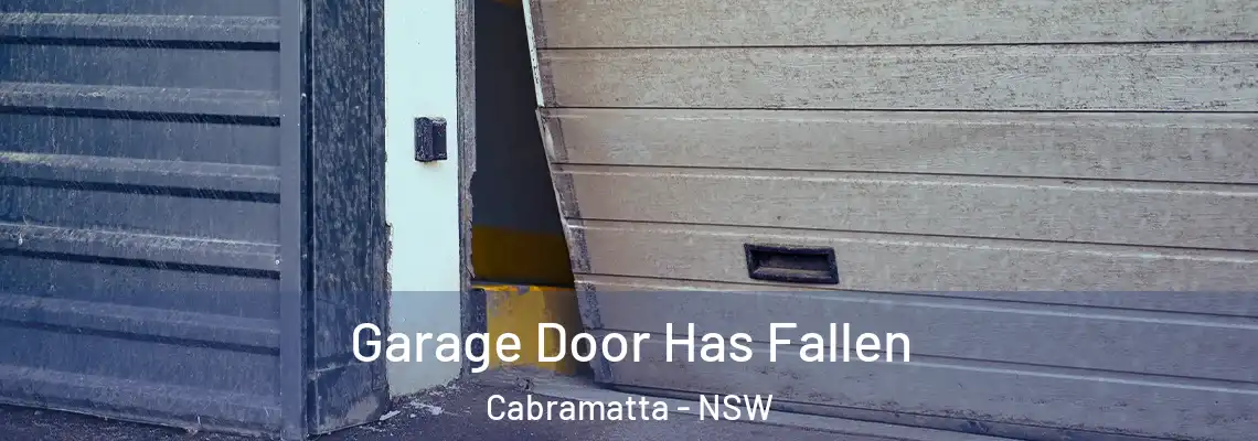  Garage Door Has Fallen Cabramatta - NSW