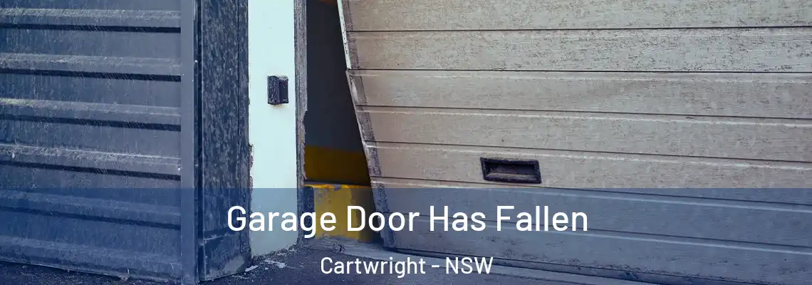  Garage Door Has Fallen Cartwright - NSW
