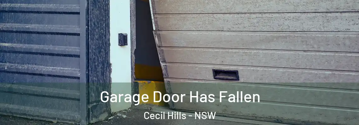  Garage Door Has Fallen Cecil Hills - NSW