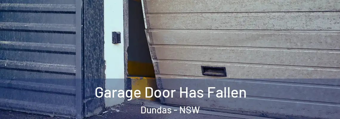  Garage Door Has Fallen Dundas - NSW