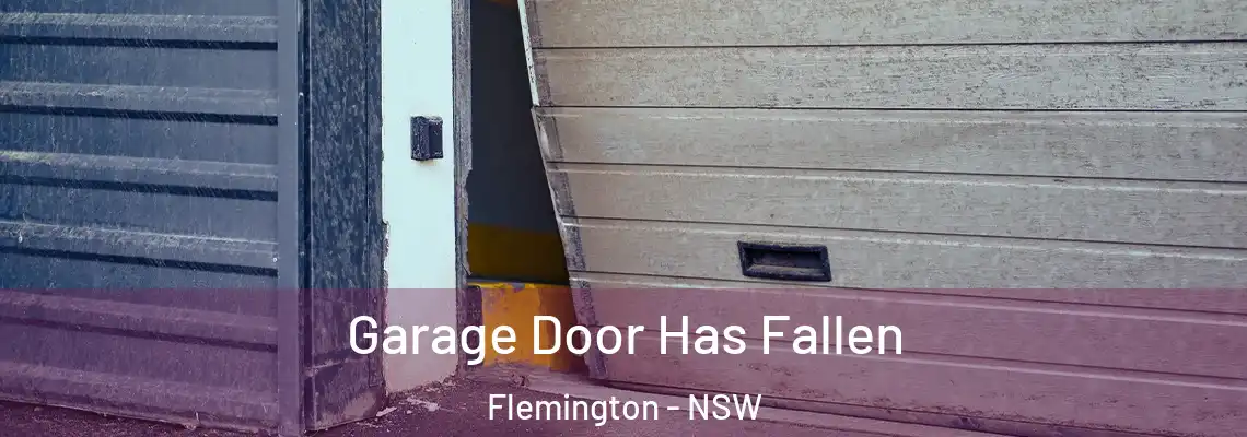  Garage Door Has Fallen Flemington - NSW