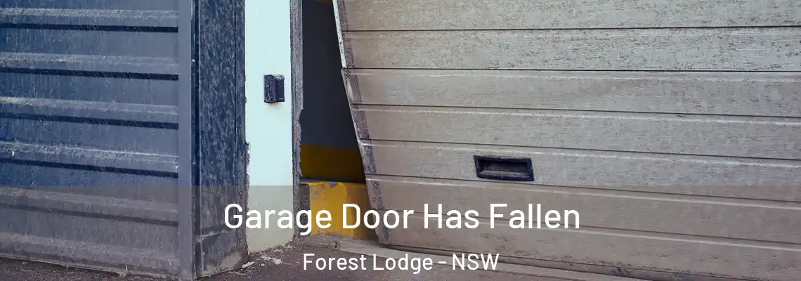  Garage Door Has Fallen Forest Lodge - NSW