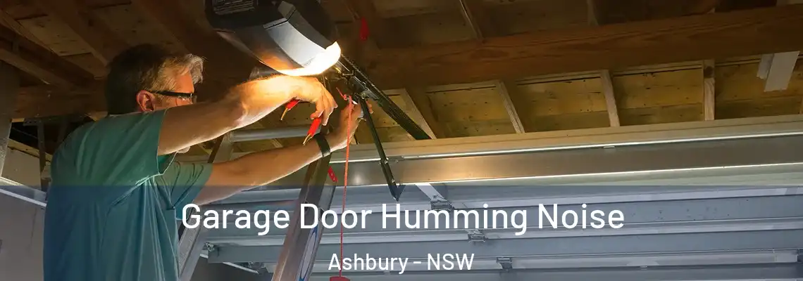  Garage Door Humming Noise Ashbury - NSW