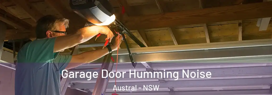  Garage Door Humming Noise Austral - NSW