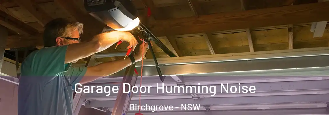  Garage Door Humming Noise Birchgrove - NSW