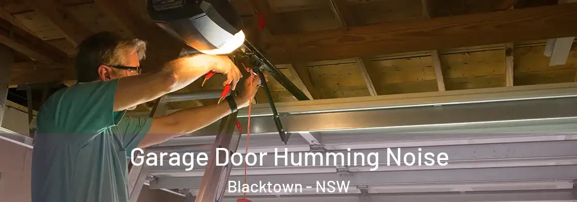  Garage Door Humming Noise Blacktown - NSW