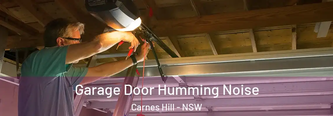  Garage Door Humming Noise Carnes Hill - NSW