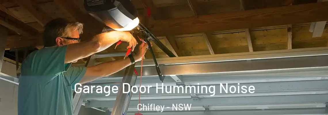  Garage Door Humming Noise Chifley - NSW