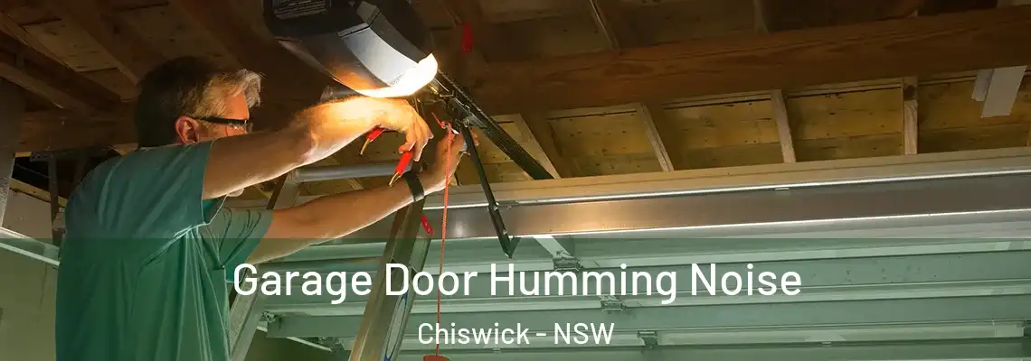  Garage Door Humming Noise Chiswick - NSW