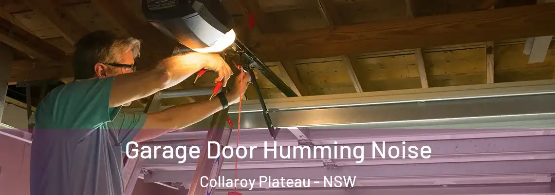  Garage Door Humming Noise Collaroy Plateau - NSW