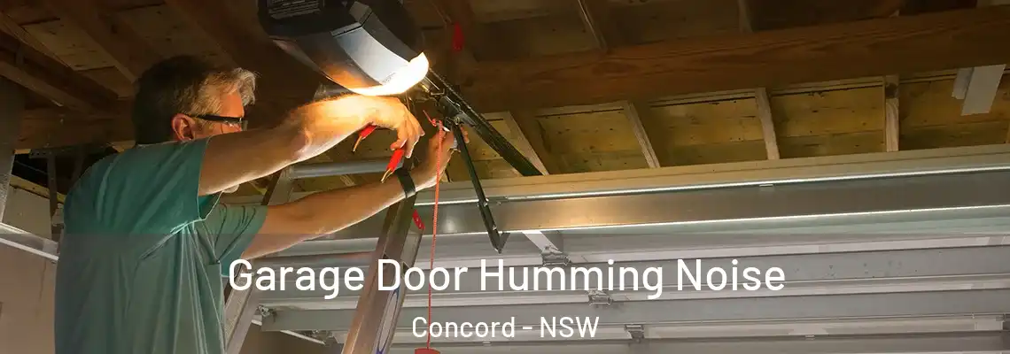  Garage Door Humming Noise Concord - NSW