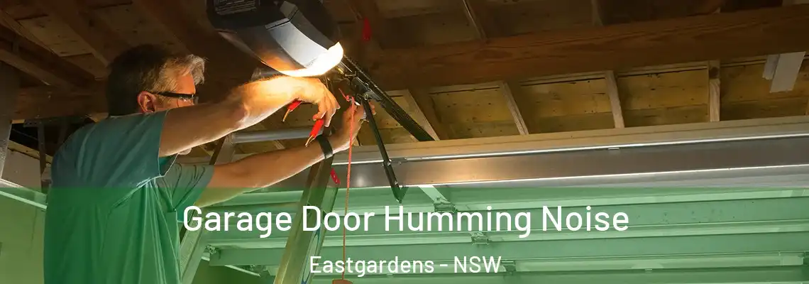  Garage Door Humming Noise Eastgardens - NSW