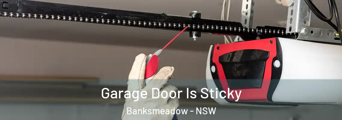  Garage Door Is Sticky Banksmeadow - NSW