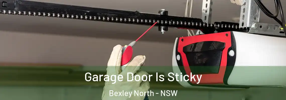  Garage Door Is Sticky Bexley North - NSW