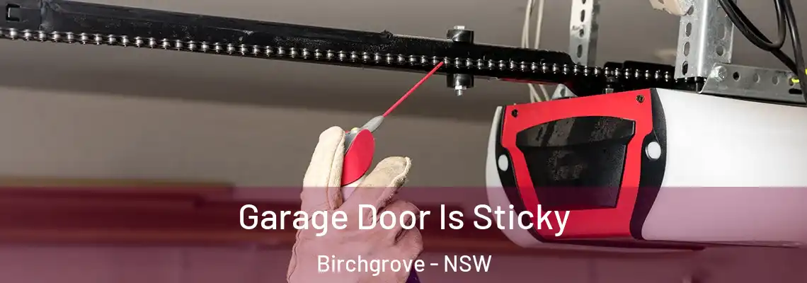  Garage Door Is Sticky Birchgrove - NSW