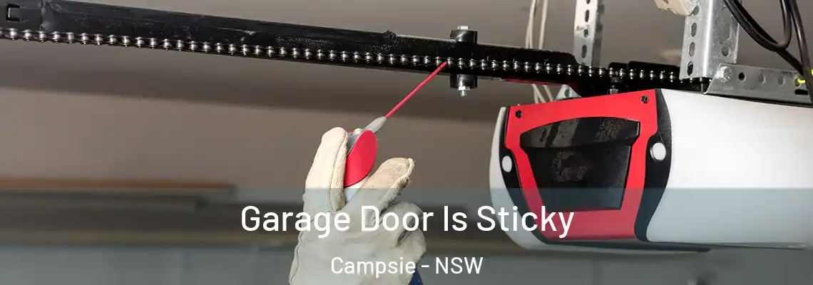  Garage Door Is Sticky Campsie - NSW