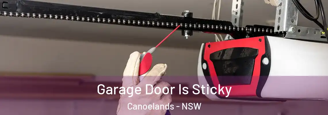  Garage Door Is Sticky Canoelands - NSW