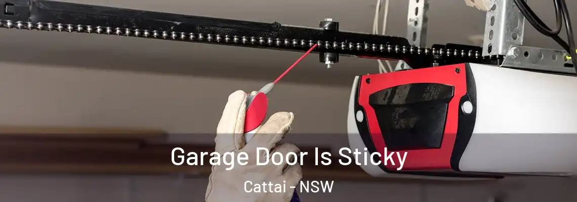  Garage Door Is Sticky Cattai - NSW
