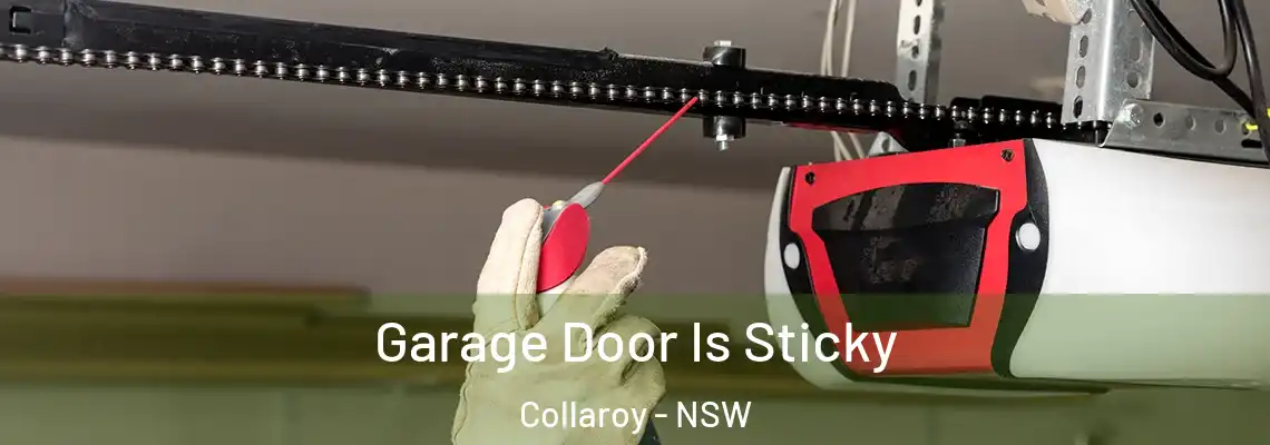  Garage Door Is Sticky Collaroy - NSW