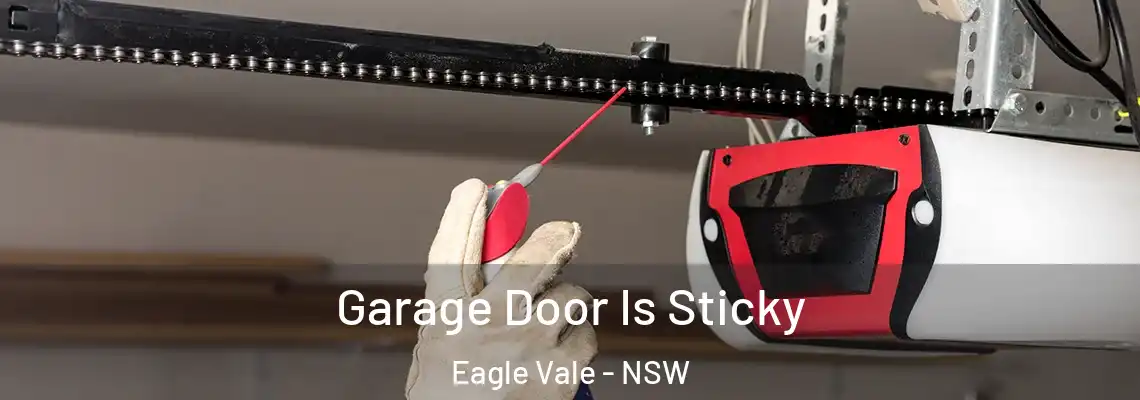  Garage Door Is Sticky Eagle Vale - NSW