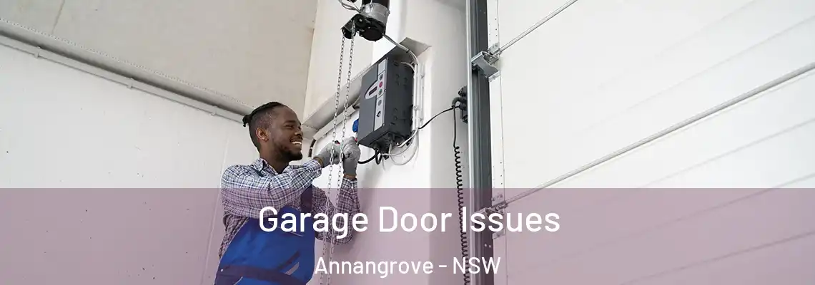  Garage Door Issues Annangrove - NSW
