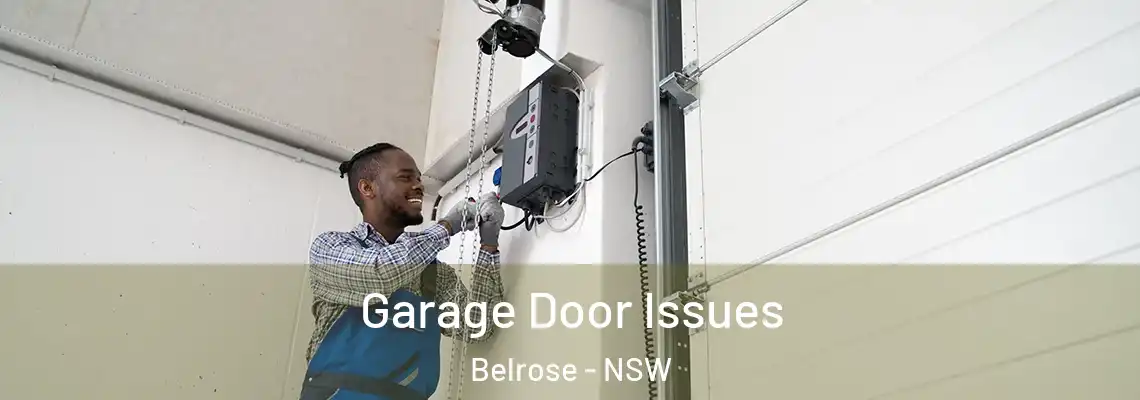  Garage Door Issues Belrose - NSW