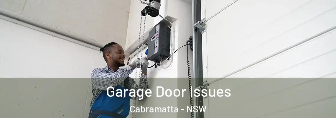  Garage Door Issues Cabramatta - NSW