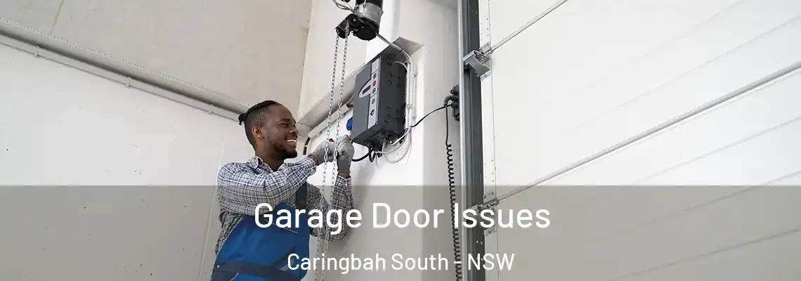 Garage Door Issues Caringbah South - NSW